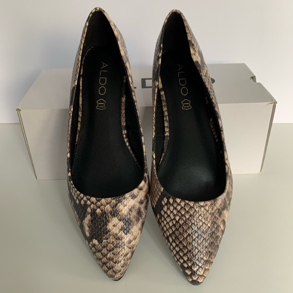Aldo Flat Shoes